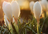 法甲预测马赛3-5巴黎圣日耳曼