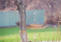 转会动态即时滚动:阿森纳锁定法甲新星,切尔西就迪萨西离队展开谈判