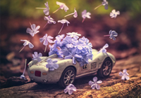 转会动态即时滚动：阿森纳锁定法甲新星，切尔西就迪萨西离队展开谈判