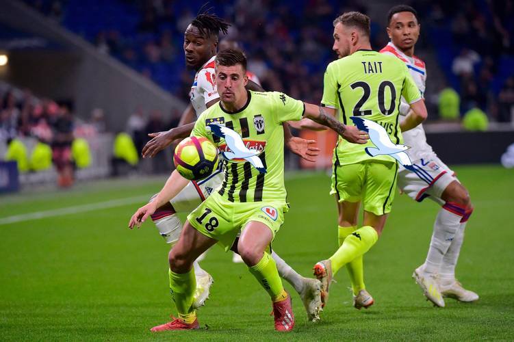 周六038法甲:图卢兹 VS 斯特拉斯堡预测分析